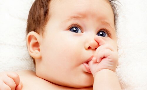 réflexe de succion chez le bébé