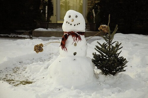 jeux dans la neige