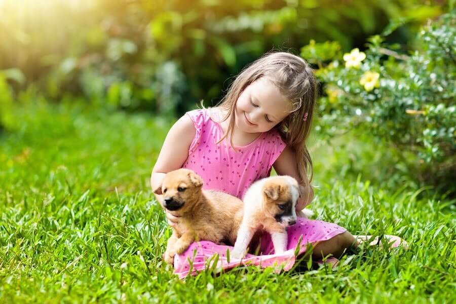 animaux de compagnie pour enfants si vous habitez à la campagne