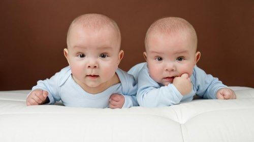 Deux bébés attentifs