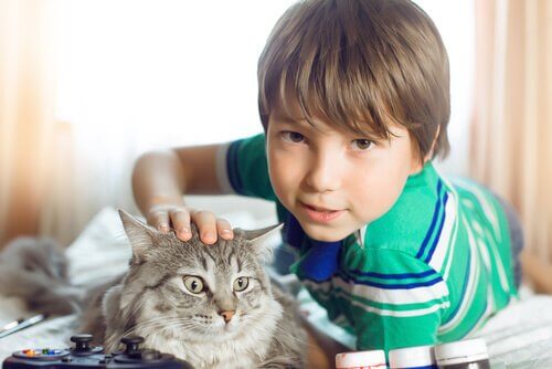 Un garçon avec son chat