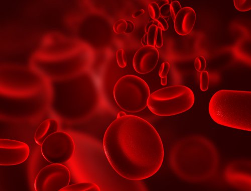 Les antigènes à la surface des globules rouges aident à déterminer le groupe sanguin.