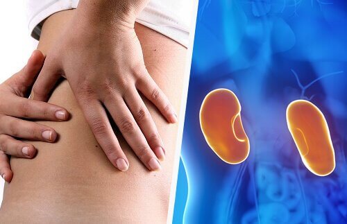 Comment la maladie rénale affecte-t-elle la grossesse ?