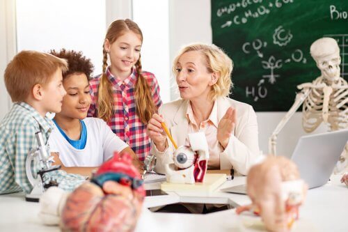 La neuroéducation est la discipline qui s'occupe de comprendre le fonctionnement du cerveau afin d'optimiser l'apprentissage dans les salles de classe.