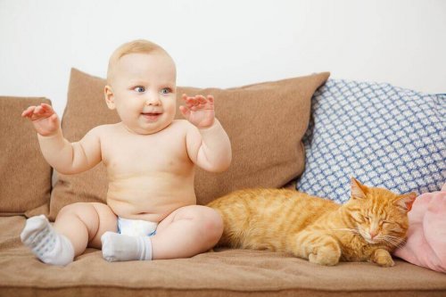 La cohabitation des nouveaux-nés avec les animaux est-elle recommandée ?