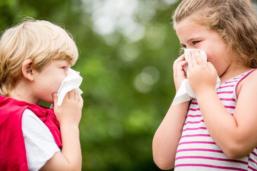 allergique à la poussière