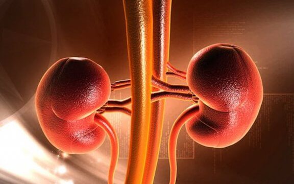 Le cancer du rein chez l'enfant