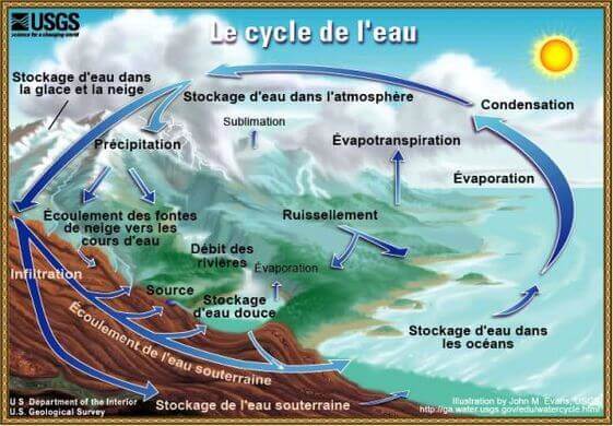 Expliquer le cycle de l'eau