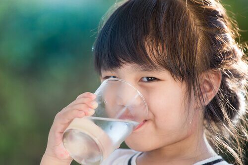 L'eau est dans certains cas la base de la pyramide alimentaire.