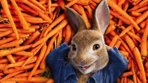 3 films pour enfants basés sur des livres actuels