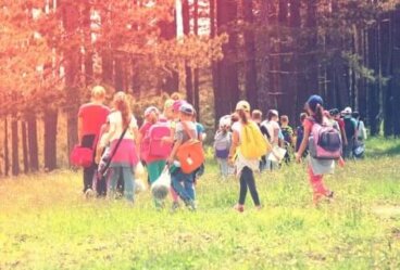 Quelle est la responsabilité de l'école en cas d'accident durant une sortie scolaire ?
