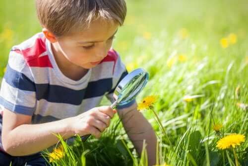 Un enfant regarde avec une loupe