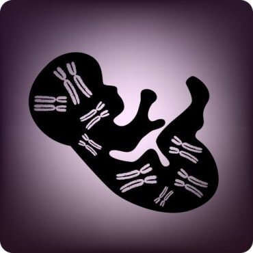 Le test génétique prénatal : caractéristiques et avantages