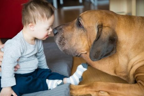 Comment les animaux de thérapie peuvent-ils aider les enfants ?