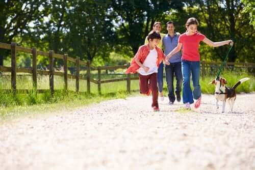 famille promenant un chien