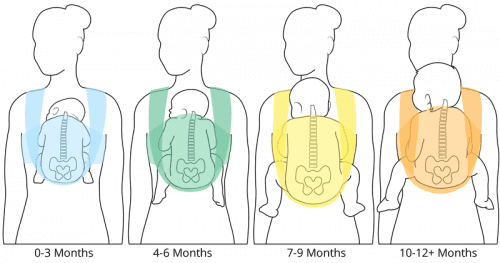 Le bébé et le portage