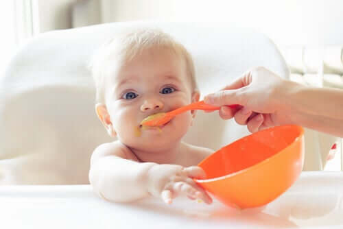 premiers aliments solides de bébé