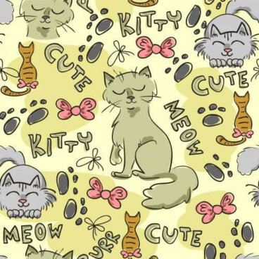 Une sélection de 4 livres infantiles autour du chat