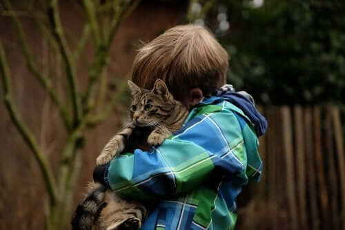 amitié entre un enfant et son chat