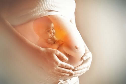 Image d'un bébé dans le ventre