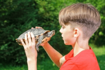 Les Effets De La Technique De La Tortue Sur L Estime De Soi Etre Parents