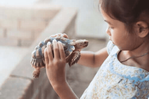 fille avec une tortue