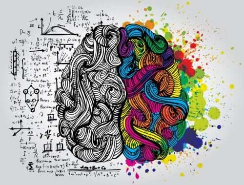 L'école de l'Intelligence, par Augusto Cury