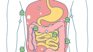Qu'est-ce qu'une transplantation fécale et quand est-elle recommandée ?