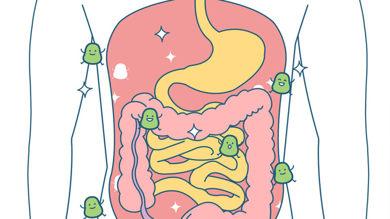Qu'est-ce qu'une transplantation fécale et quand est-elle recommandée ?