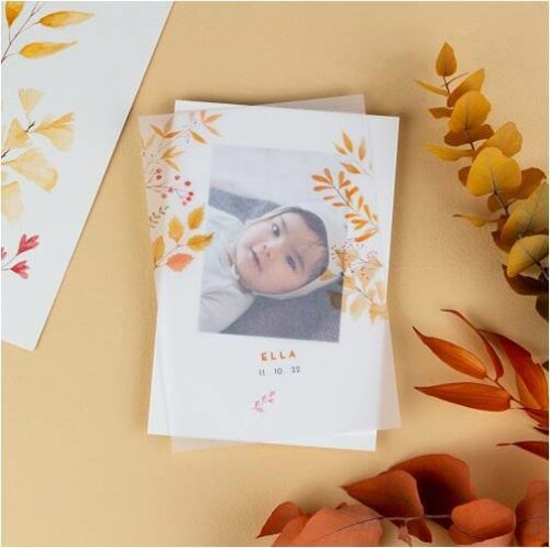 Faire-part de naissance.