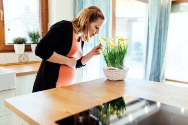 Le sens de l’odorat pendant la grossesse