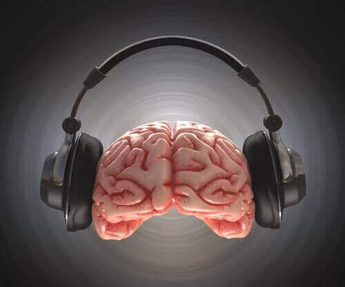 La musique et son effet sur le cerveau du jeune.