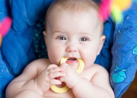 Un bébé qui mord son jouet.