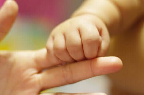 Un bébé tenant un doigt.
