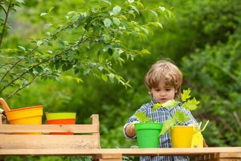 Un enfant avec des pots de fleurs.