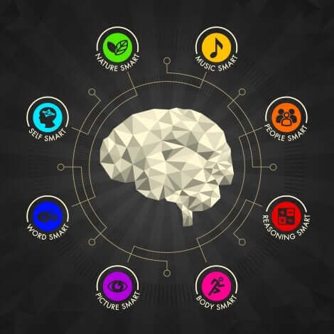 Les intelligences multiples.