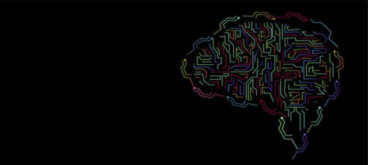 Le concept d'intelligence et son évolution