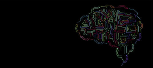 Le concept d'intelligence et son évolution