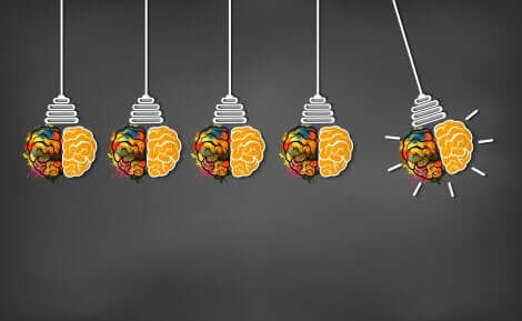 Un schéma de plusieurs petits cerveaux.