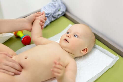 Qu'est-ce que la cryptorchidie ?