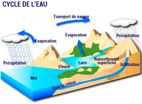 Dessin du cycle de l'eau. 