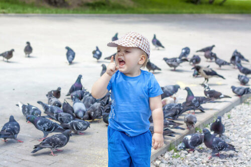 Un enfant qui a peur des oiseaux comme les pigeons.