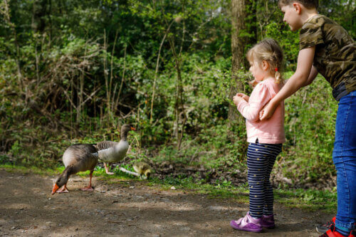 Une fillette qui a peur des oiseaux avec son frère.