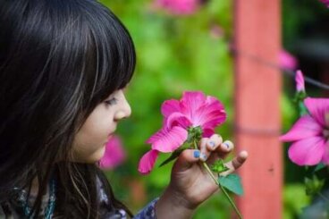 Les classes de botanique pour les enfants