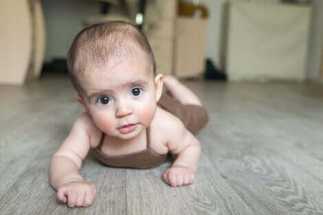 Un bébé qui rampe au sol. 