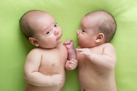 Des jumeaux sur fond vert.