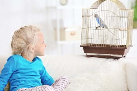Une petite fille avec un perroquet.