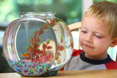 6 animaux de compagnie pour enfants qui nécessitent peu d'entretien