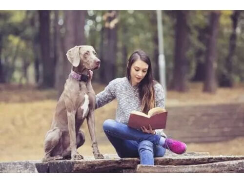 La thérapie animale chez une adolescente.