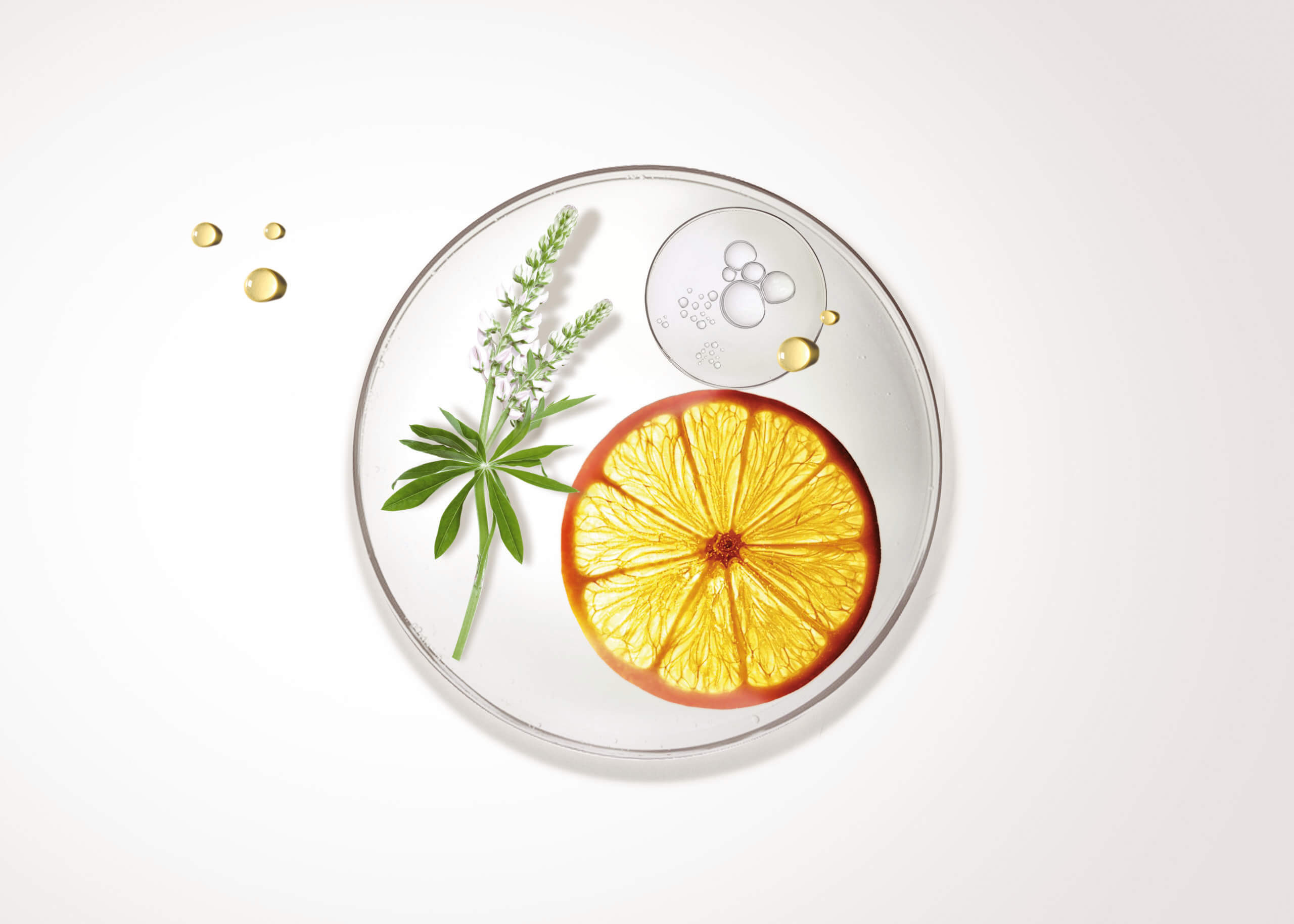 Vitamine C, rondelle d'orange.